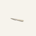 Precise Paring Knife